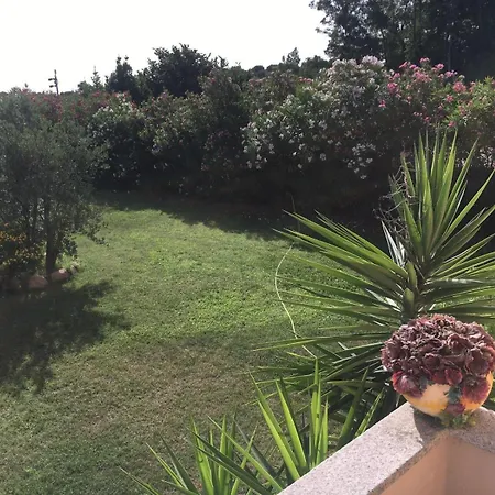 Daniela Bed & Breakfast Olbia