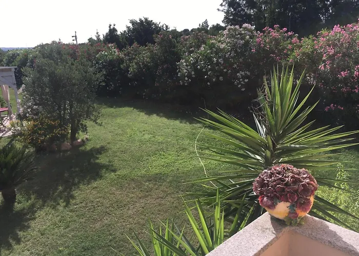 Daniela Bed and breakfast Olbia